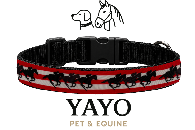 YAYO Horses
